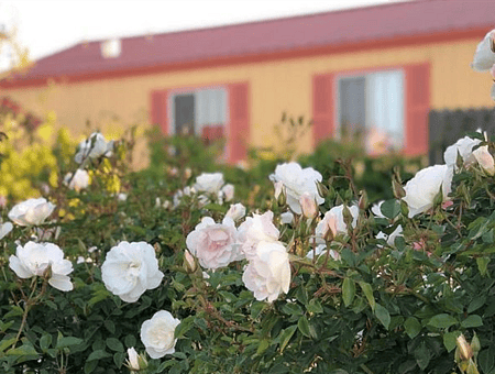 property_photo