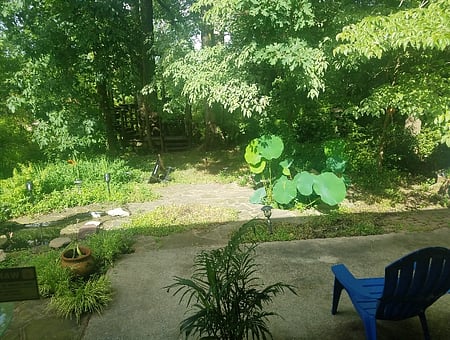 property_photo
