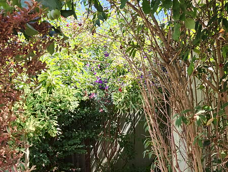 property_photo