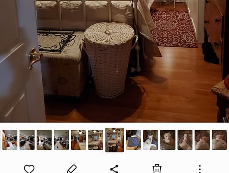 property_photo