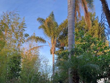 property_photo