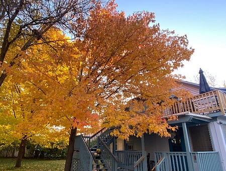 property_photo