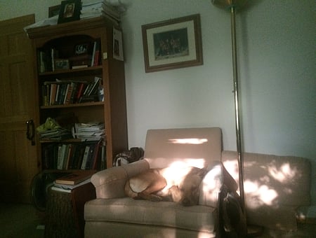 property_photo