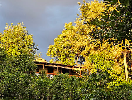 property_photo