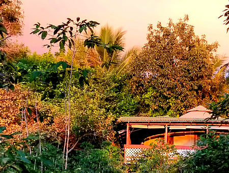property_photo