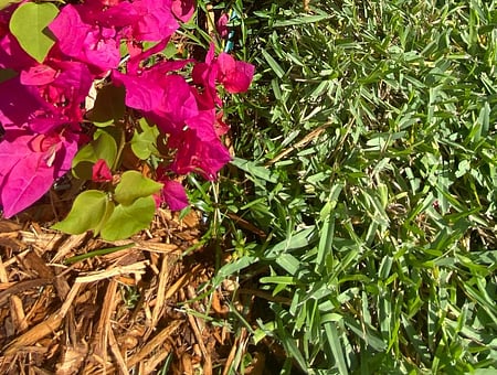 property_photo