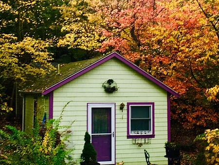 property_photo