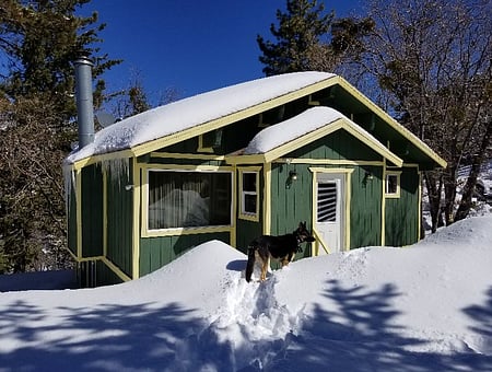 property_photo