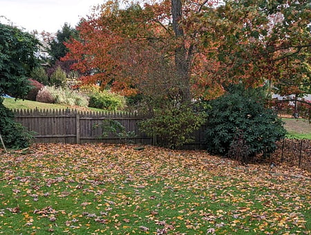 property_photo