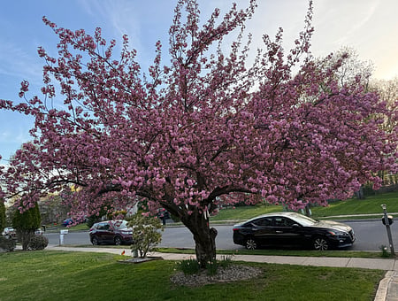 property_photo