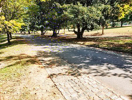 property_photo