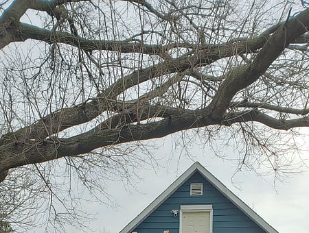 property_photo