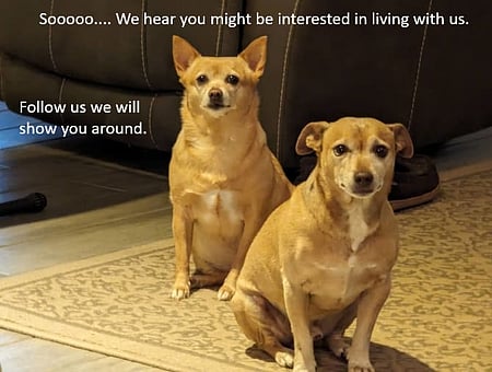 property_photo