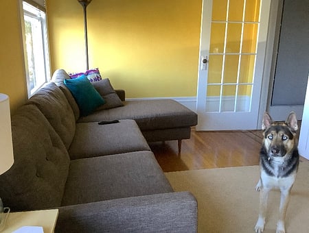 property_photo