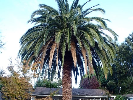 property_photo