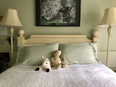 property_photo