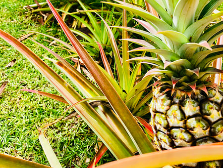 property_photo