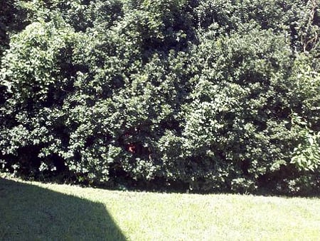 property_photo