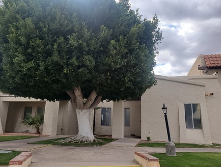 property_photo