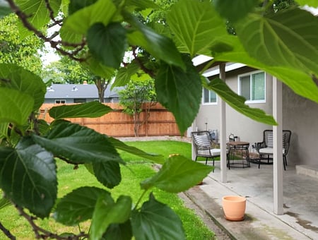 property_photo