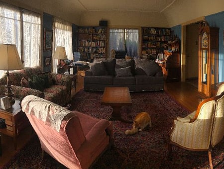 property_photo