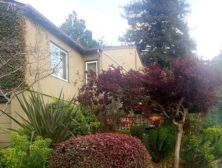 property_photo