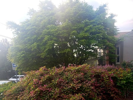 property_photo
