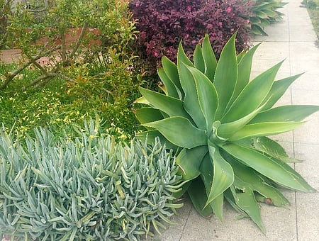 property_photo