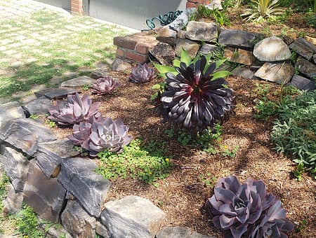 property_photo