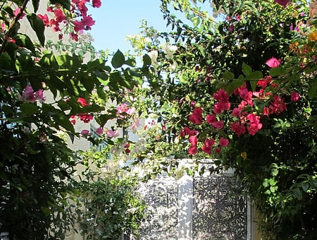 property_photo