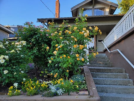 property_photo