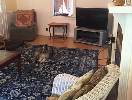 property_photo