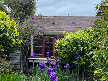 property_photo