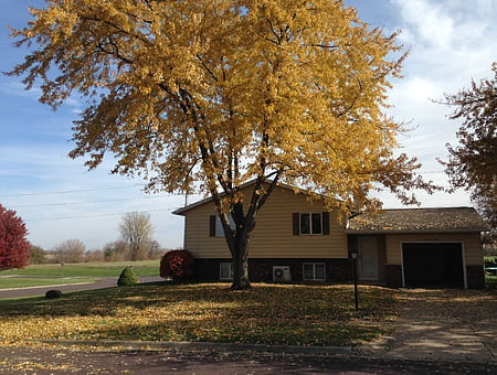 property_photo