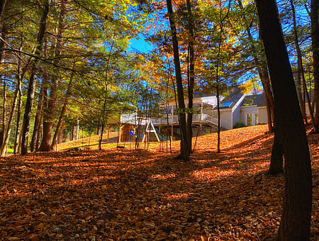 property_photo