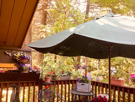 property_photo
