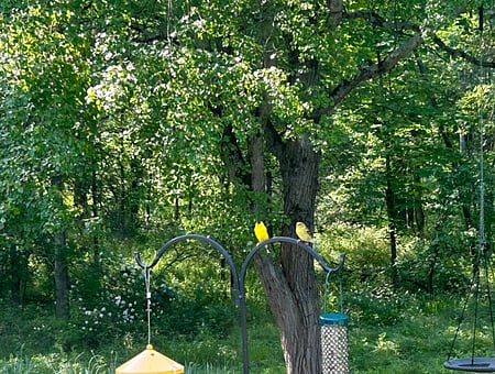 property_photo