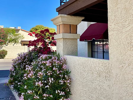 property_photo