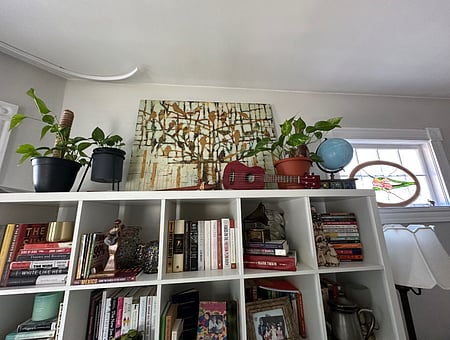 property_photo