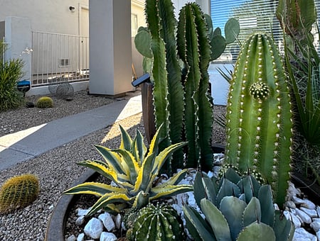 property_photo