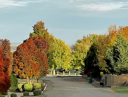 property_photo
