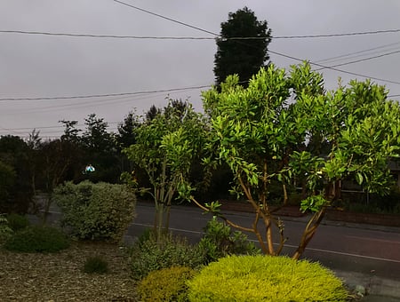 property_photo