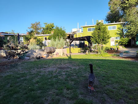 property_photo