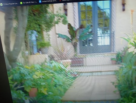 property_photo