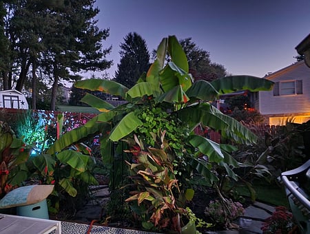 property_photo