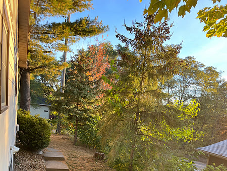 property_photo