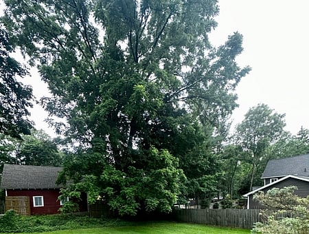 property_photo