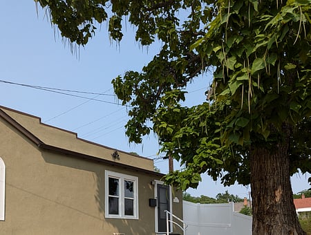 property_photo