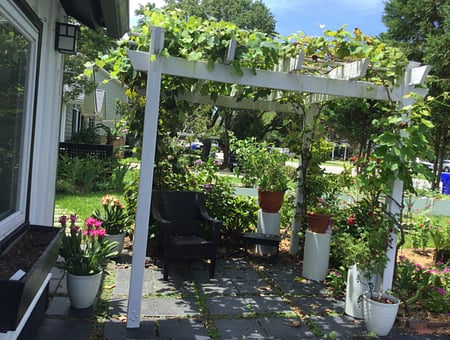 property_photo