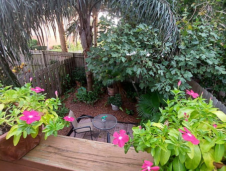 property_photo